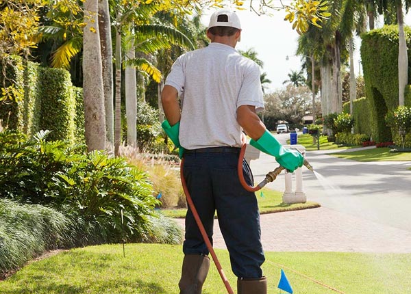 About White Rock NM Pest Control